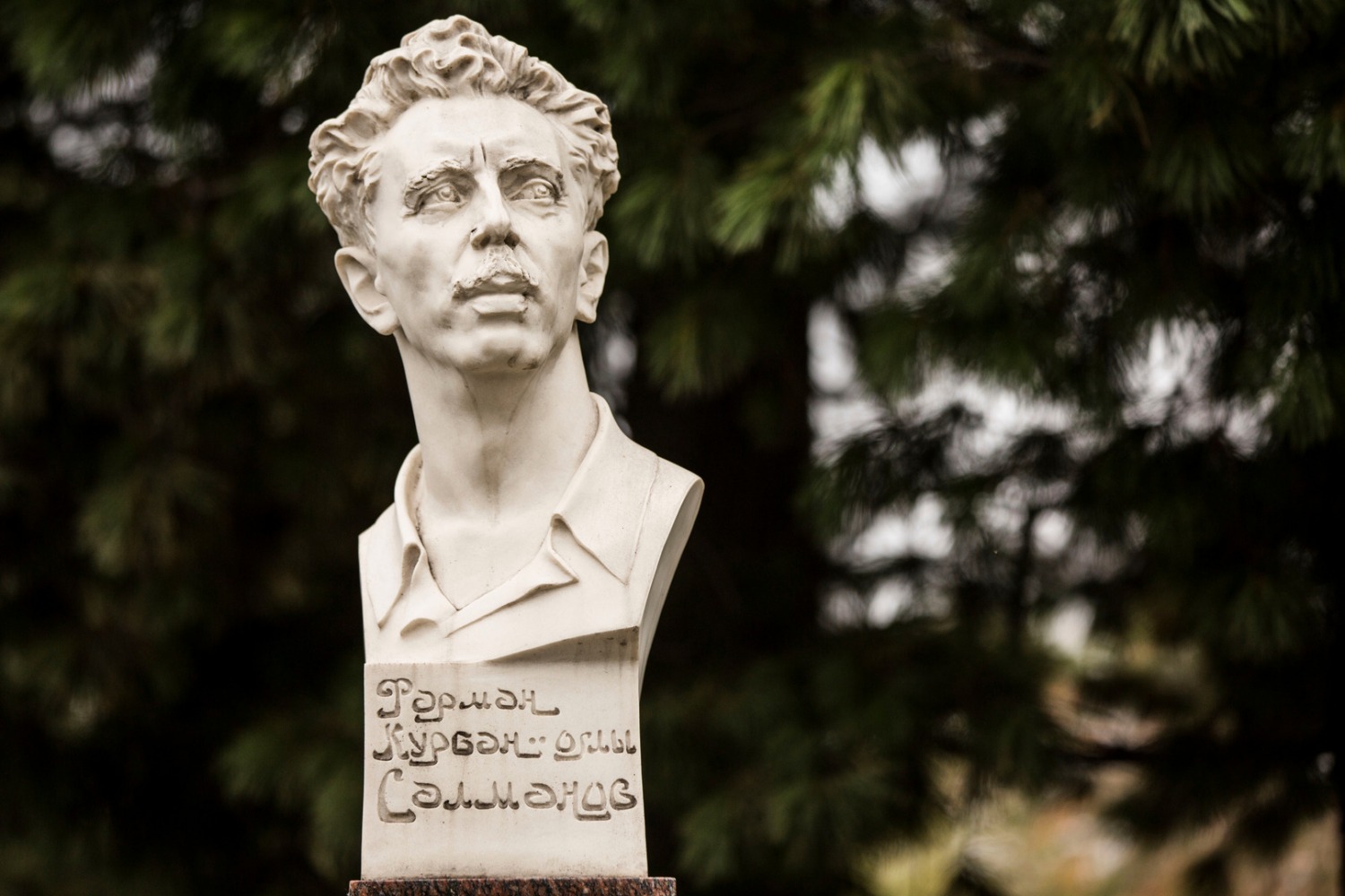 Бюст Фармана Салманова.