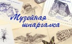 Музейная шпаргалка