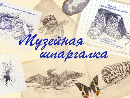 Музейная шпаргалка