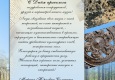 Поздравительная открытка