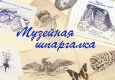 Музейная шпаргалка