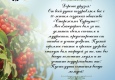Открытка