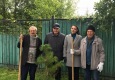 11.-Veteranyi-geologii-sazhayut-kedr
